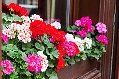 《流放之路2》确认将参加PC游戏秀 展示新实机